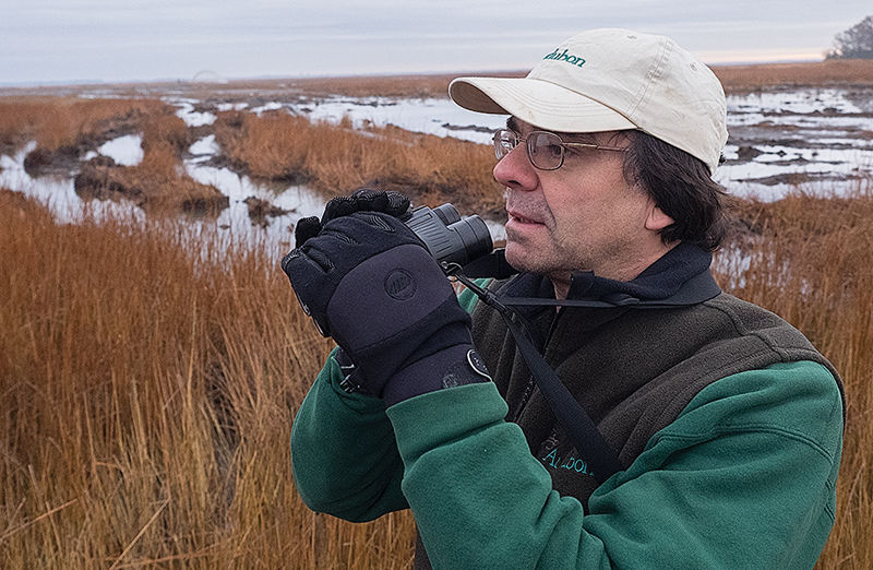 Dave Curson, Audubon Maryland/DC